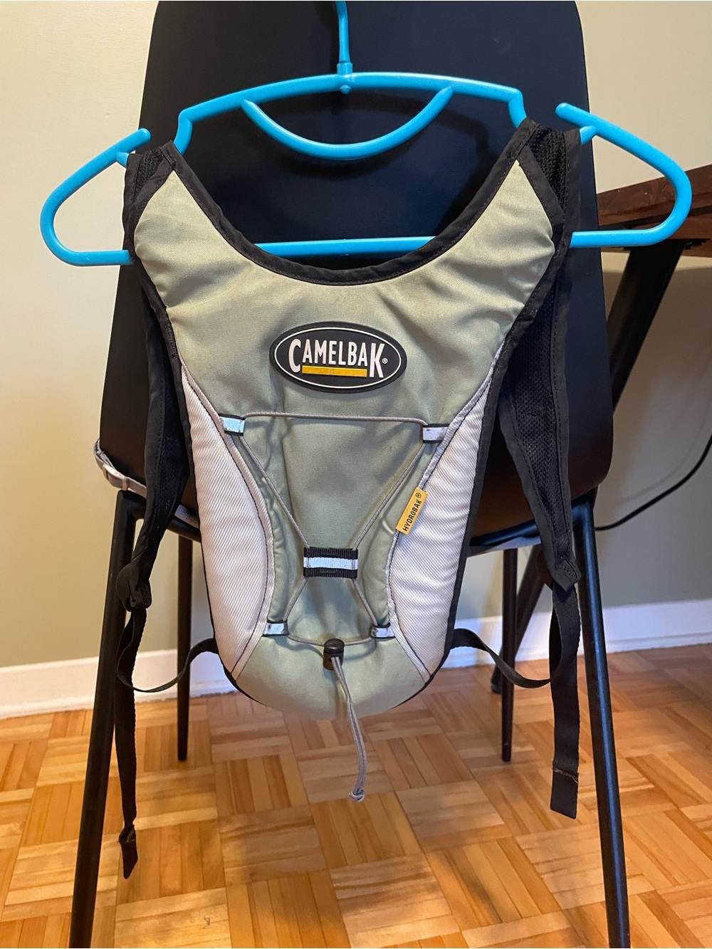 CamelBak Men's Hydration Pack in Olive Green and Gray